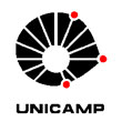 UNICAMP